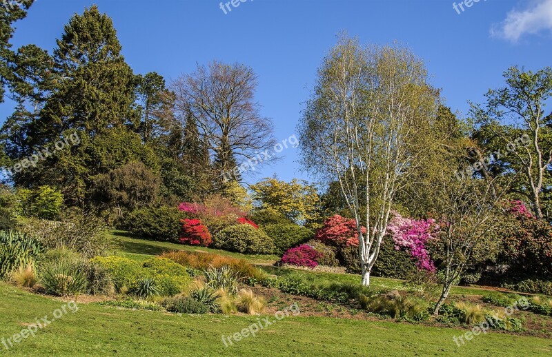 Parks Swansea Trees Flowers Free Photos