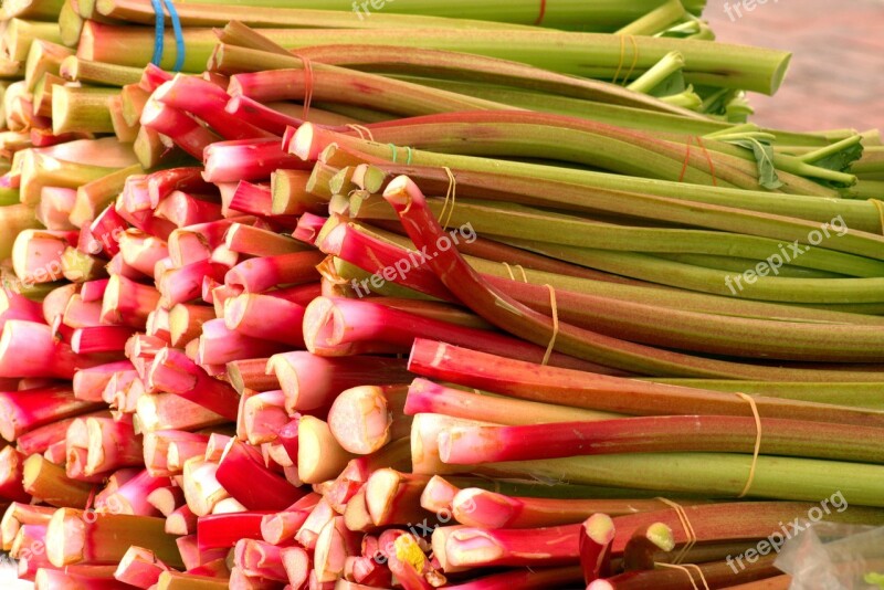 Farm Fresh Rhubarb Vegetables Food Plant Harvest