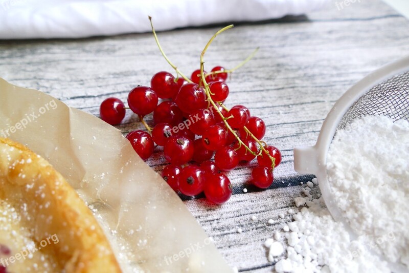 Currants Bake Cake Berries Summer