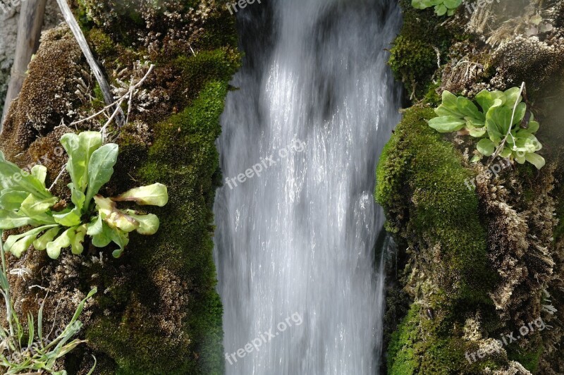 Running Water River Waterfall Brook Nature