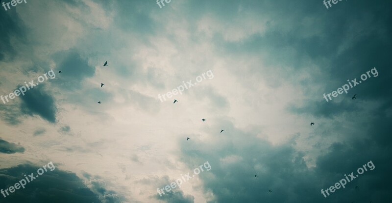 Clouds Sunset Birds Flock Of Birds Nature