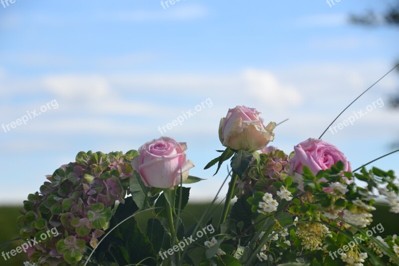 Flowers Roses Bouquet Wedding Pink