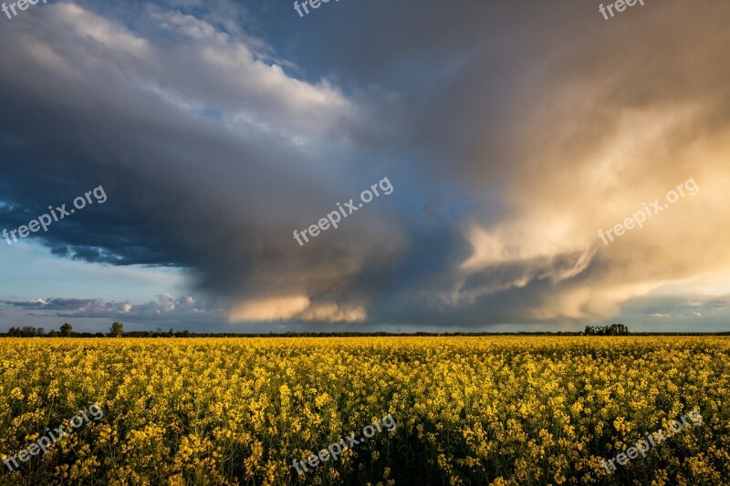 Thunderstorm Oilseed Rape Storm Clouds Field Of Rapeseeds Rape Blossom