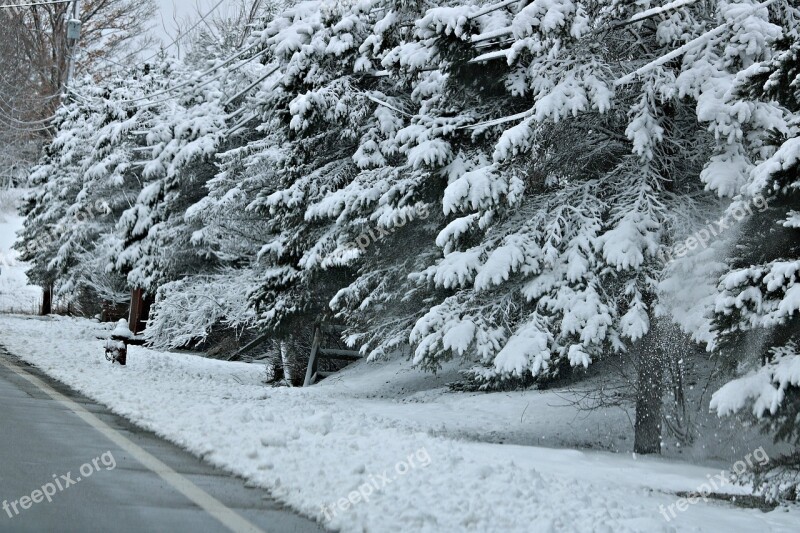 Snow Snowfall Winter Cold Snowflakes