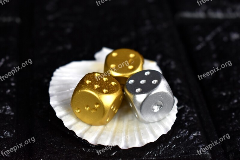 Three Dice Dices Dices Shell Shell Dice Free Photos