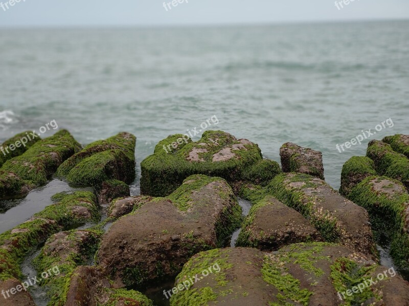 The Waves Reef Rock Sea Free Photos