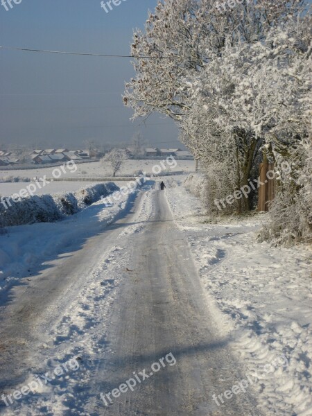 Frost Snow Winter Frozen Nature