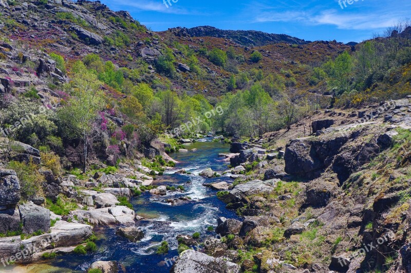 River Water Colorful Alive Rock