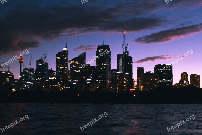 Sydney City Purple Pink Cityscape