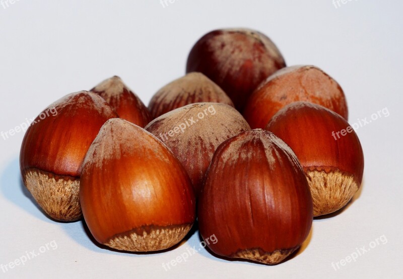 Hazelnut Dried Fruits And Nuts Food Snack Macro