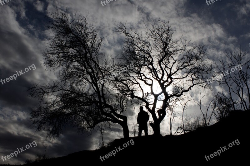 Silhouette Tree Sky Black In The Evening