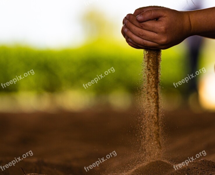 Child Play Sand Hands Free Photos