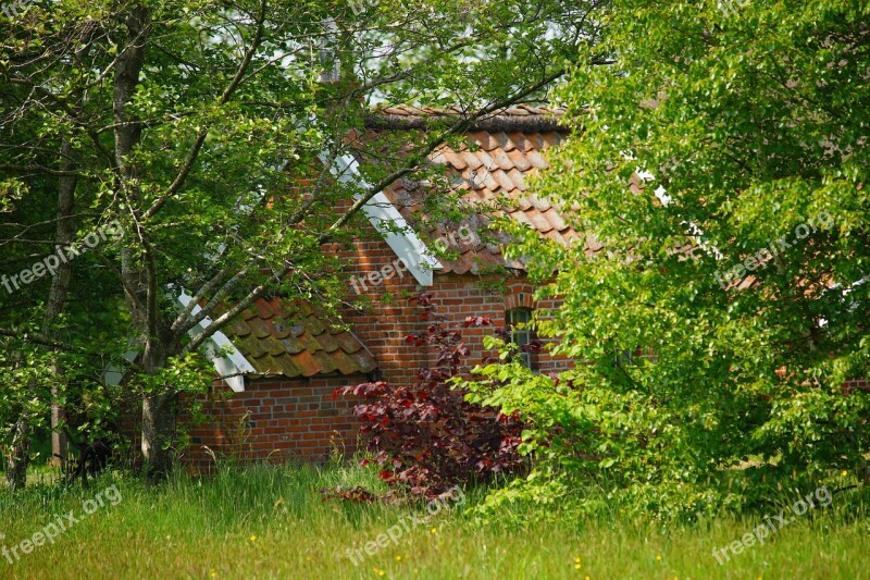 Witch's House Hidden Haunting Uninhabited Nature