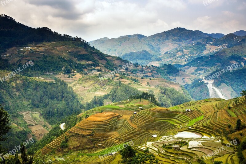 Agriculture Moutain Valley Landscape Terraces Rice Field