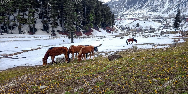 Close To Nature Kalam Swat Pakistan Free Photos