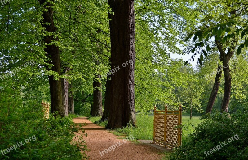 Park Away Landscape Trees Light