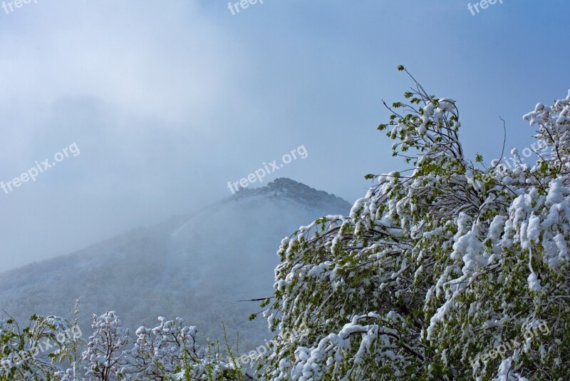 Mountain Fog Mountains Nature Sky