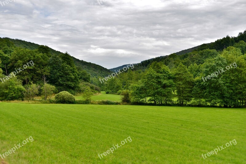 Landscape Nature Forest Clouds Tree