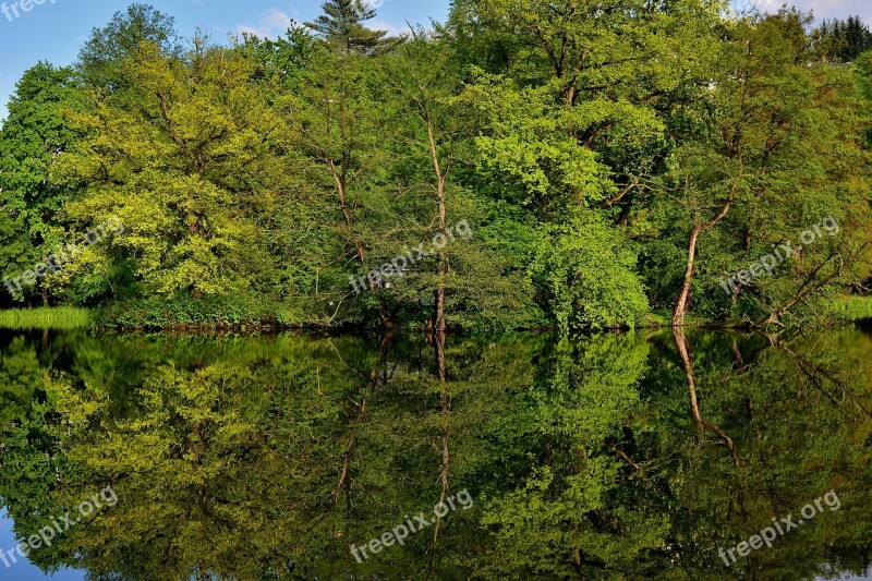 Park Lake Mirroring Landscape Trees