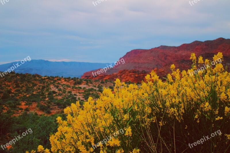 Yellow Saint George Red Rock Southern Southern Utah