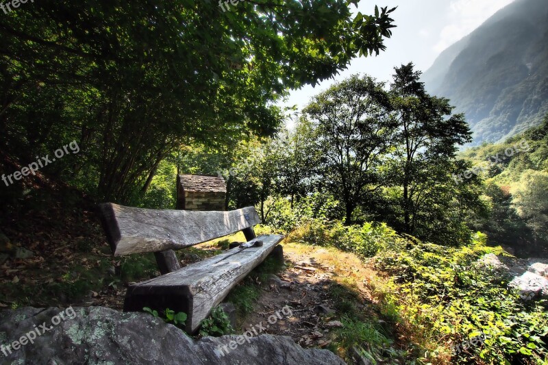 Landscape Forest River Verzasca Bank