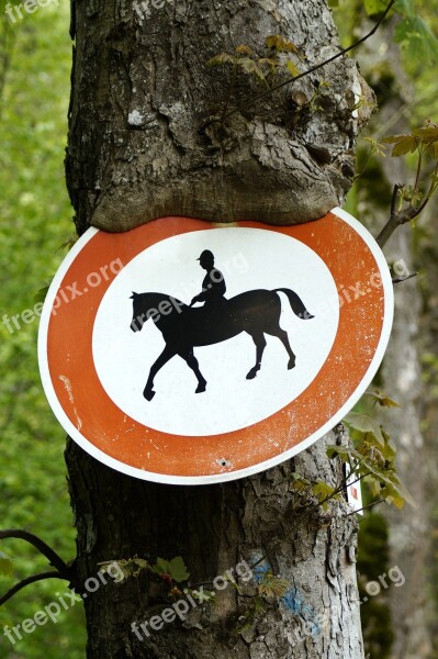 Horse Riding Prohibited Tree Horses Prohibited Ride Prohibited