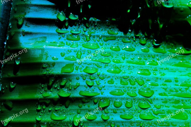 Banana Leaf Wet Night Droplets