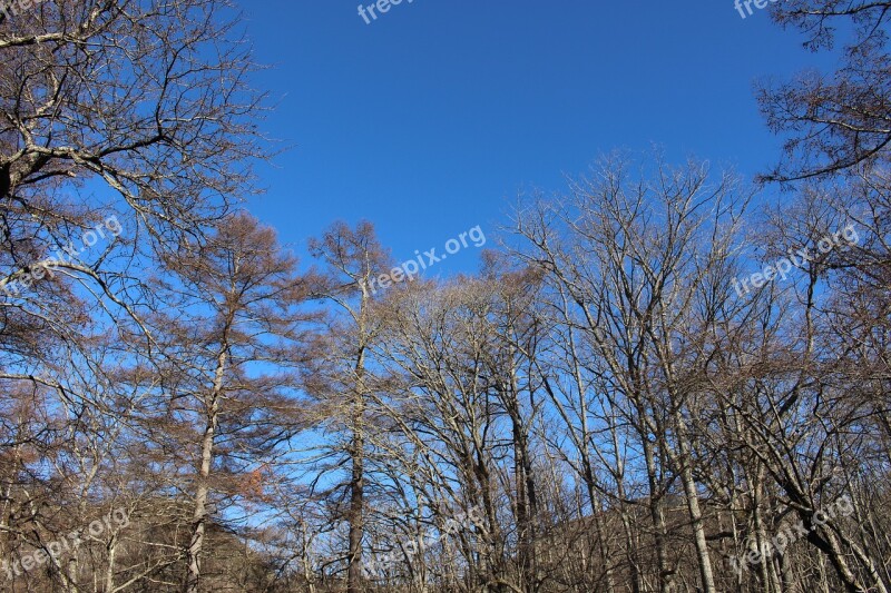 Mountain Sky Blue Sky Natural Free Photos