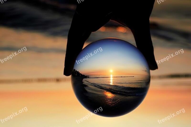 Glass Ball Sunset Beach Seagull Bird