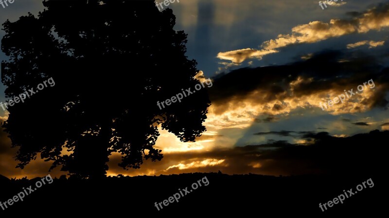 Sunset Tree Nature Evening Sky