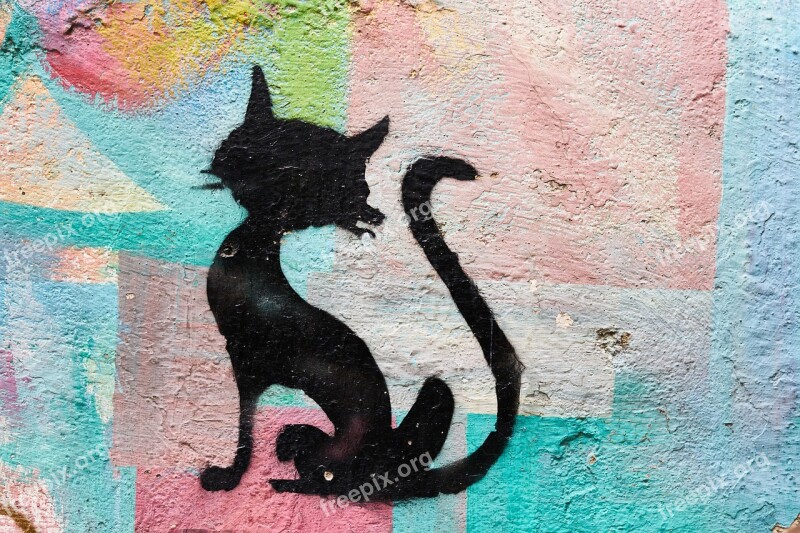 Cat Logo Symbol Graffiti Texture