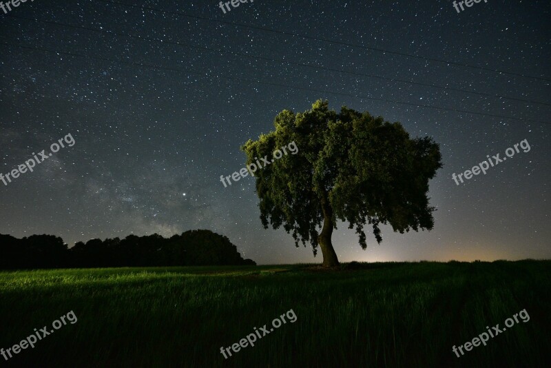 Field Night Star Agriculture Space