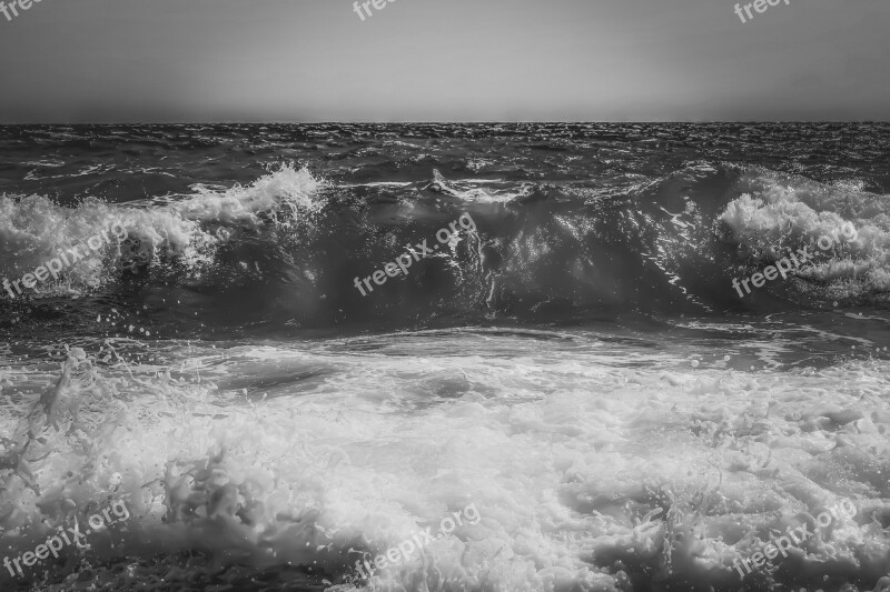 Wave Sea Water Nature Motion