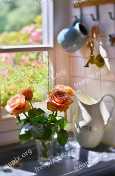 Still Life Keukentafereel Sink Roses Water Pitcher