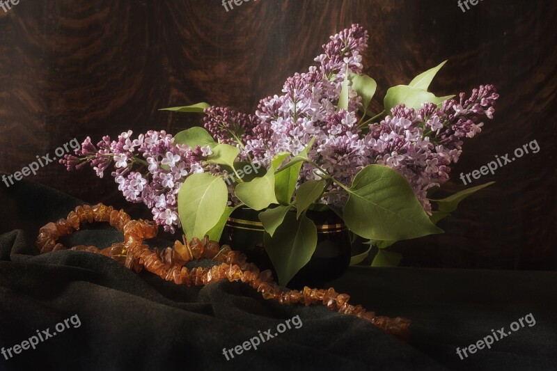 Graphics The Background Flowers Texture Model