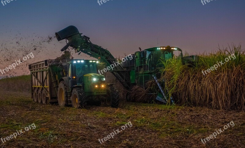 Tractor John Deere Sugar Sugar Cane Harvesting