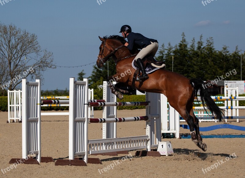 Horse Jumping Horse Jumping Equestrian Equine