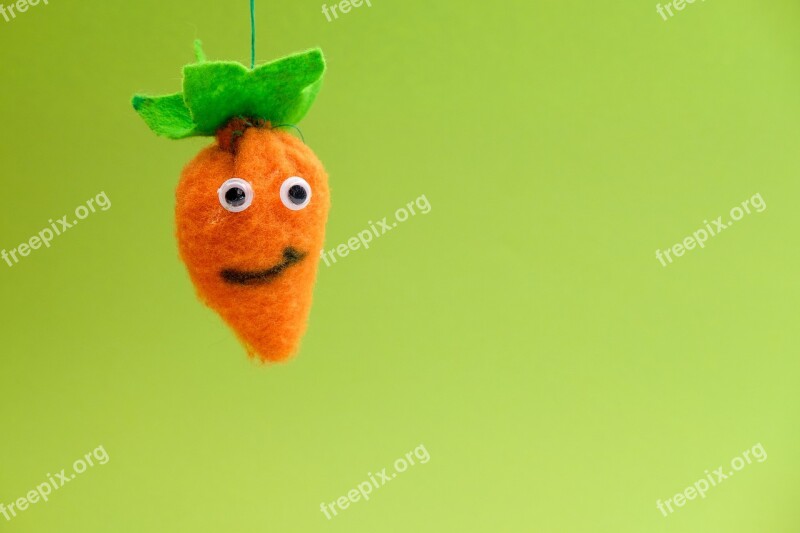 Carrot Vegetables Felt Fabric Doll