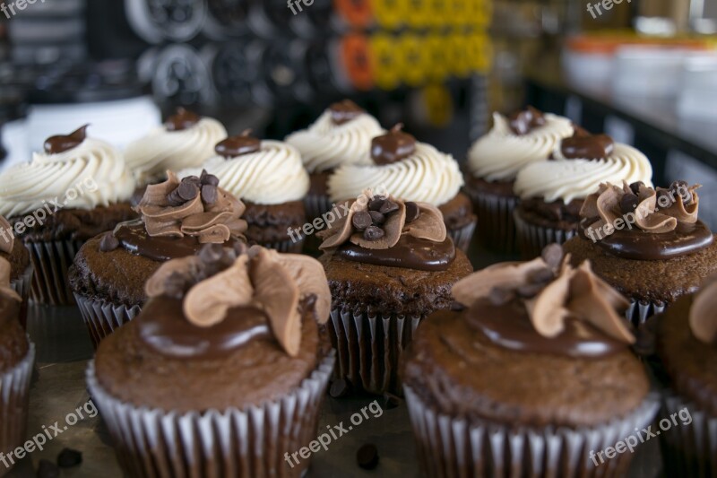 Cupcake Chocolate Cupcakes Gourmet Treat Food