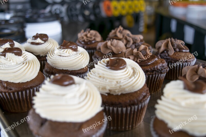 Cupcake Chocolate Cupcakes Gourmet Treat Food