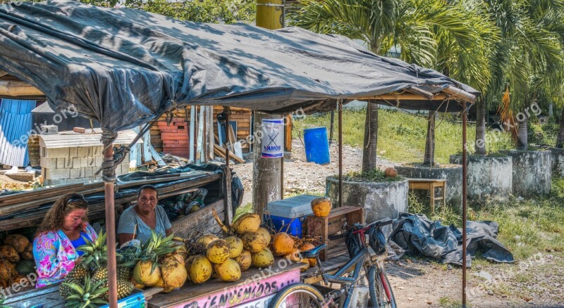 Fruit Stand Guatemala Pineapple Coconut Tropical