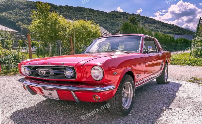 Mustang 1966 66 Vehicle Automobile