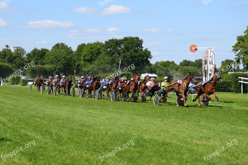 Horse Equestrian Race Hippodrome Horses