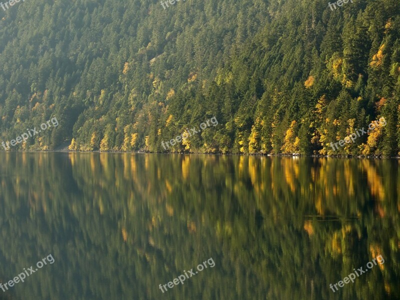 Autumn Trees Lake Forest Indian Summer