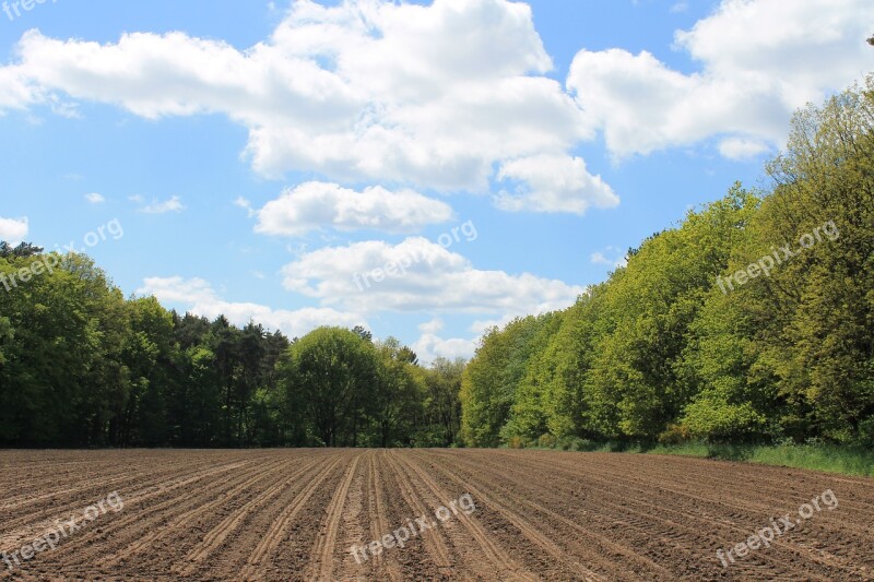 Field Nature Edge Of The Woods Clouds Background