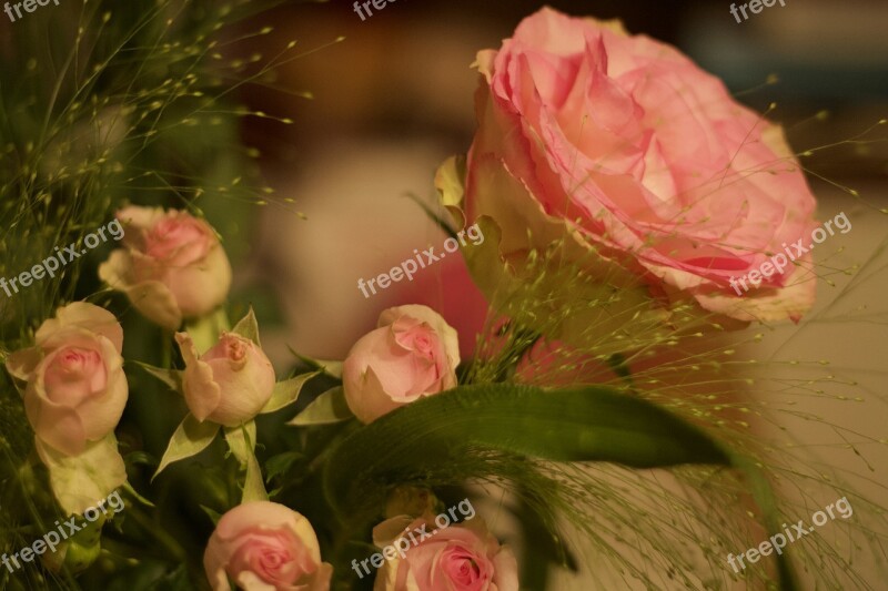 Roses Flowers Bouquet Pink Romance