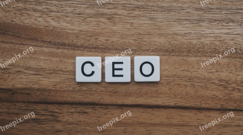 Ceo Chief Executive Officer Boss Free Photos