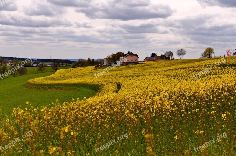 Landscape Rapeseed Yellow Field Clouds