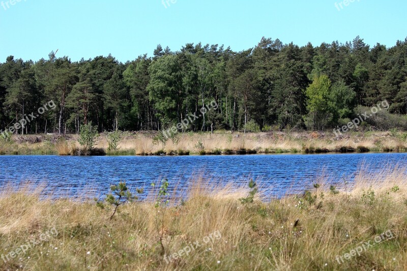 Seemoor Moor Nature Landscape Moorland