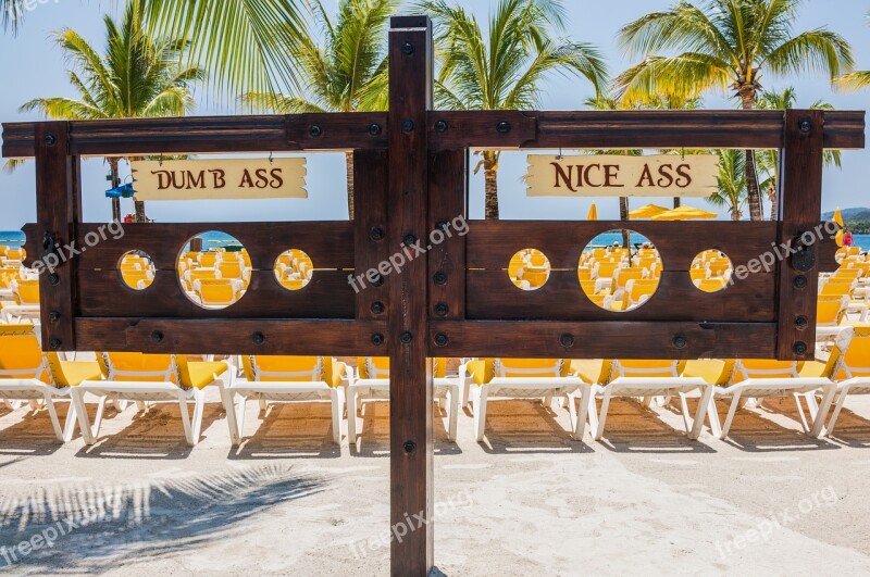 Stockade Entertainment Funny Beach Nature